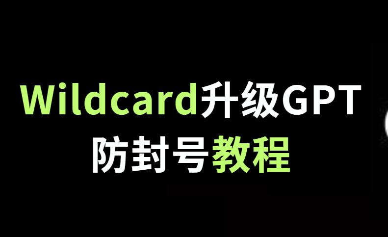 【24年4月更新】Wildcard订阅GPT4.0防封号指南，用前必看